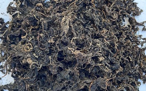 Dried Bitterleaf