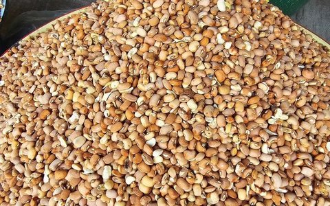 Honey Beans (Ewa Oloyin)
