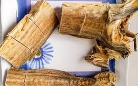 Stockfish (Okporoko)